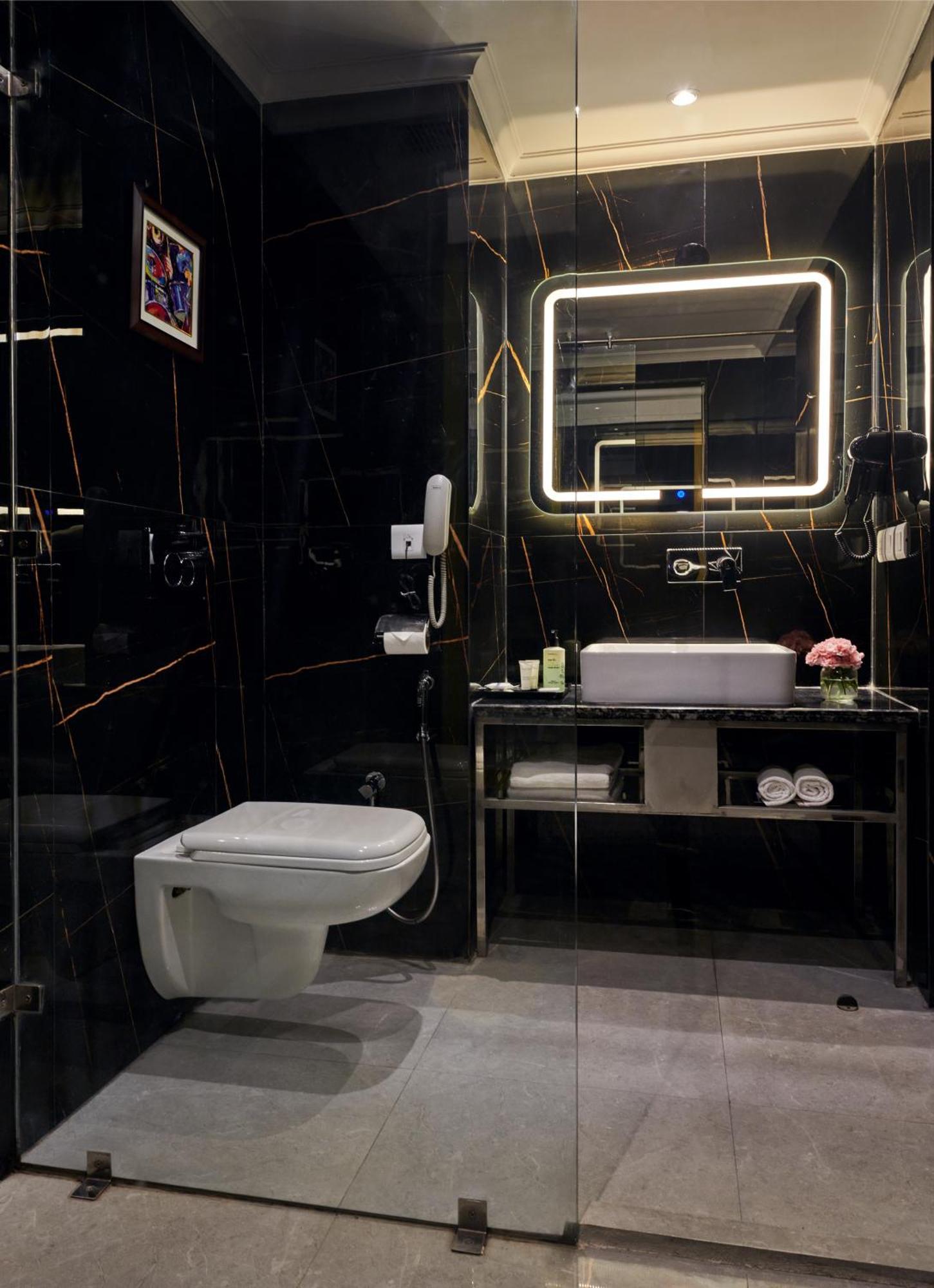 Deventure Sarovar Portico Patel Nagar Hotel New Delhi